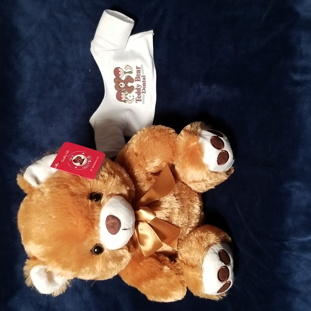 Teddy Bear plush with T-shirt